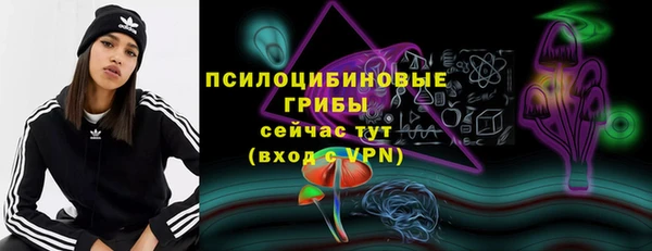прущие грибы Зерноград