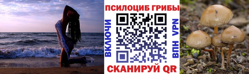 Галлюциногенные грибы MAGIC MUSHROOMS  Купить закладки  Зея 
